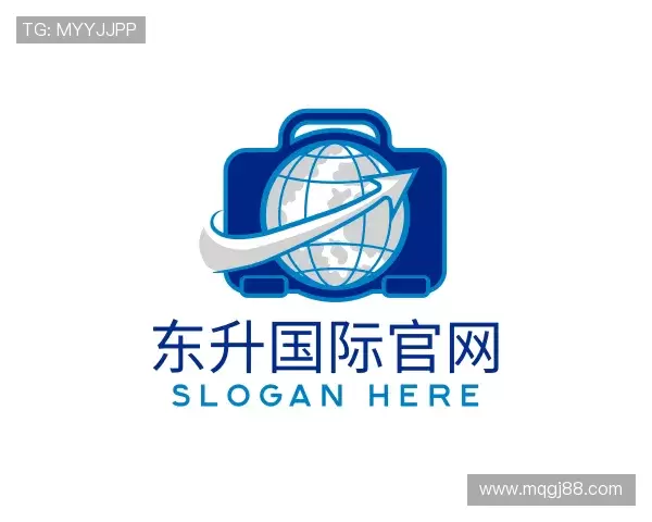 解读东升国际官网